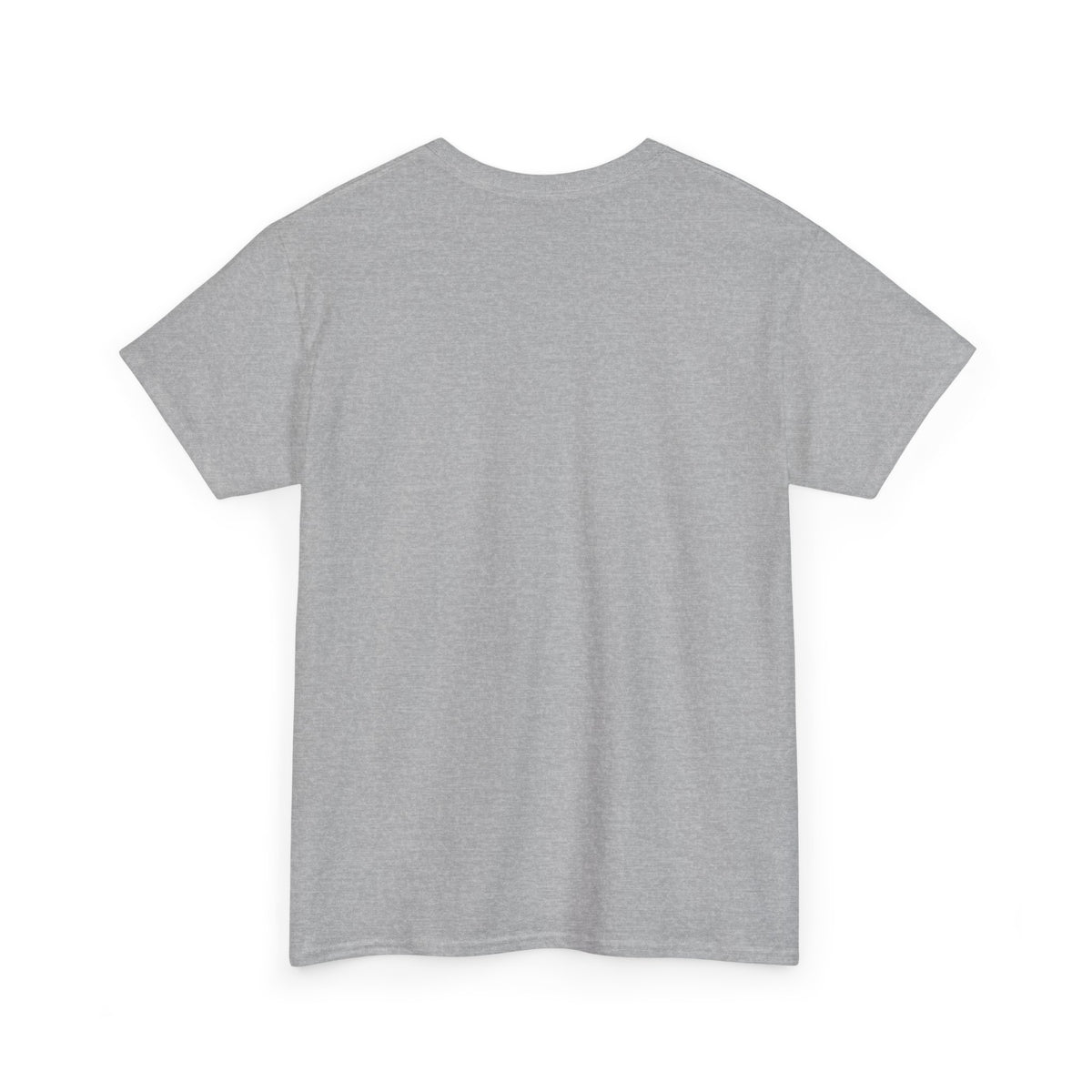 Funny "But, Did You Die?" T‑Shirt — Sarcastic Graphic Tee for Travelers & Adventurers