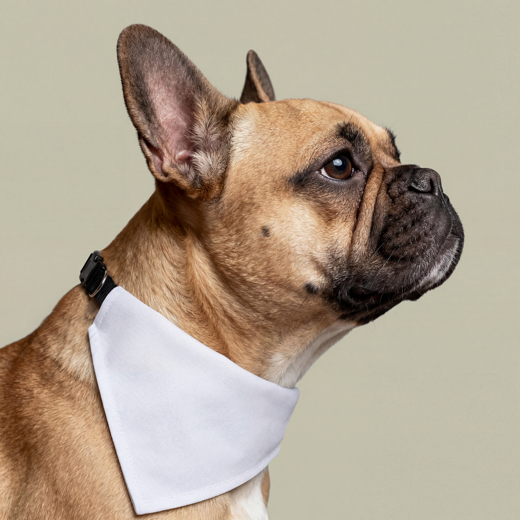 Personalized Clip-On Pet Bandana — Custom Name Dog & Cat Scarf (Winston)