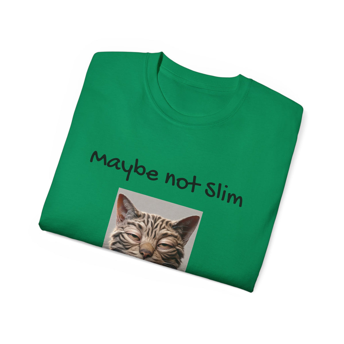 Maybe Not Slim, Definitely Shady  Funny witty sarcastic Unisex Tee
