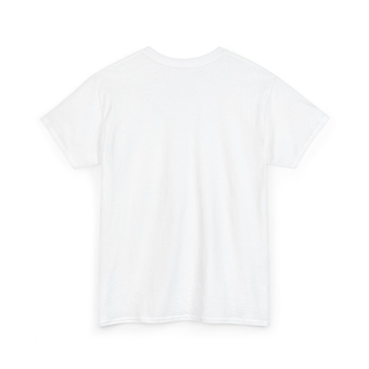 Funny "But, Did You Die?" T‑Shirt — Sarcastic Graphic Tee for Travelers & Adventurers
