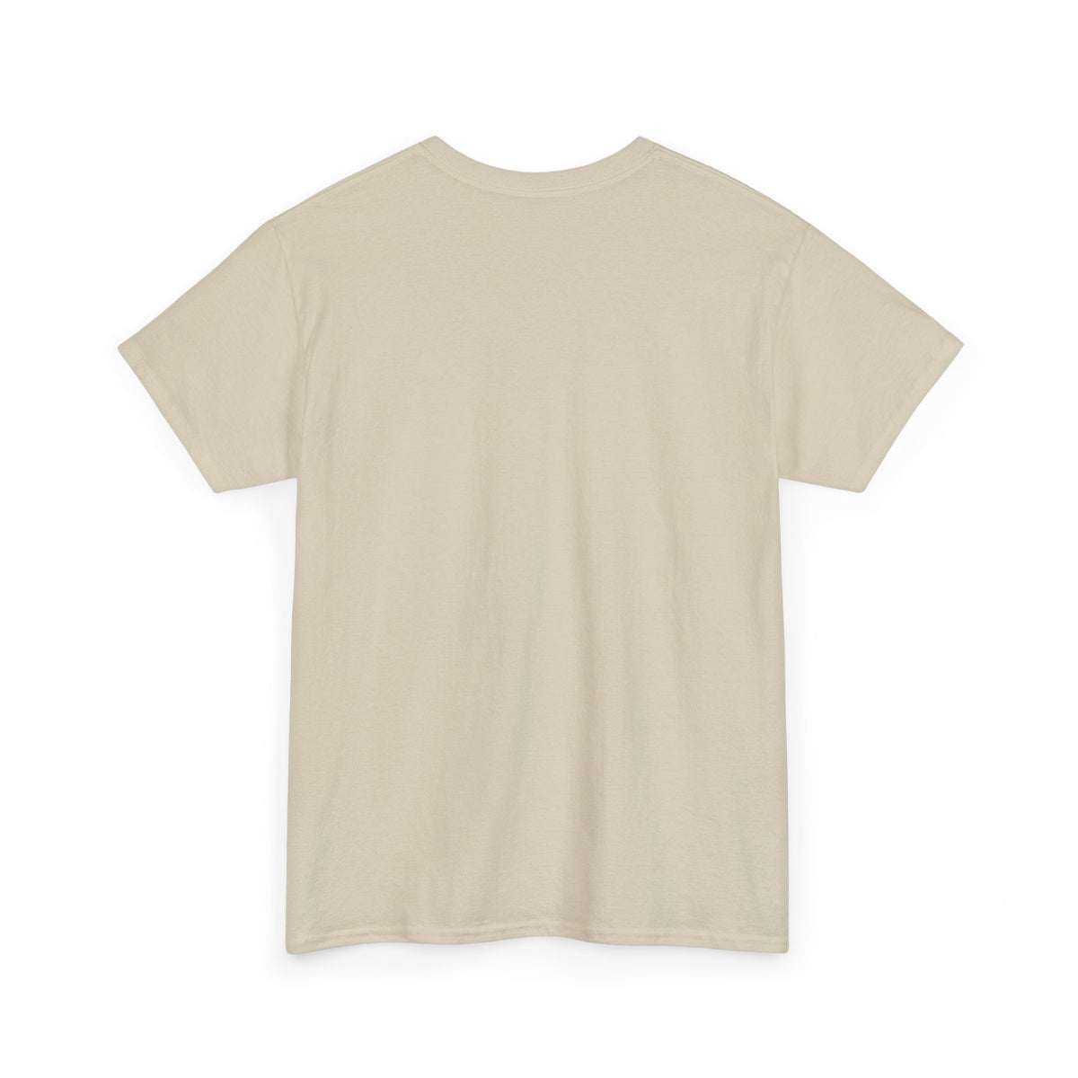 Funny "But, Did You Die?" T‑Shirt — Sarcastic Graphic Tee for Travelers & Adventurers